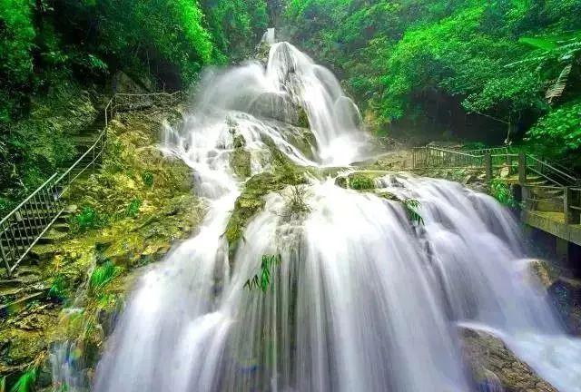 雪后，这片1500年的古楠木森林美成了“童话世界”